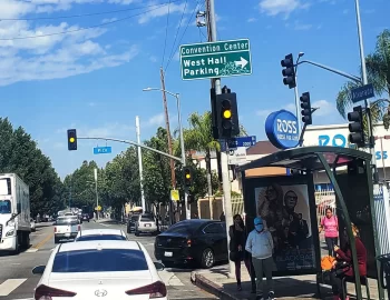 Bamboo Express (Los Angeles – Pico Blvd)