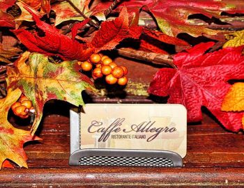 Allegro allegro1600-01