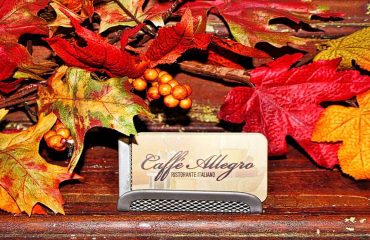 Allegro allegro1600-01