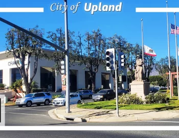 upland2025-01