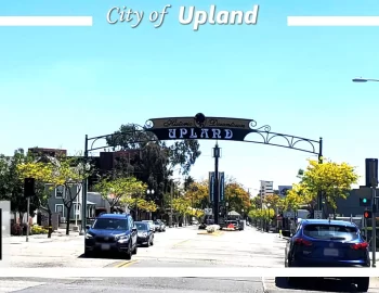 upland2025-02