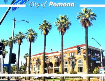 pomona2025-05