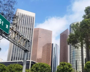 placeholder-losangeles2025-06