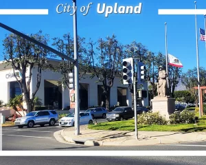 upland2025-01